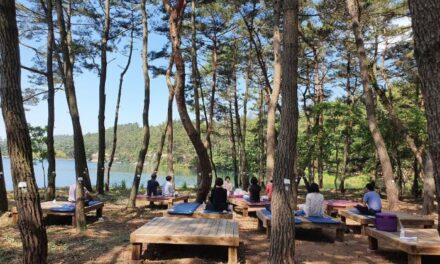 서해환경신문·     충청남도  ‘럭셔리 산림치유시설 조성’에 272억 투자