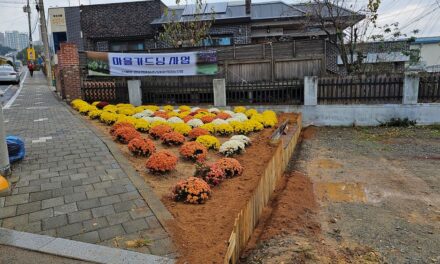 서해환경신문· 함께 꽃길 가꿨던 ‘읍내동 도시재생’ 지원사업 종료