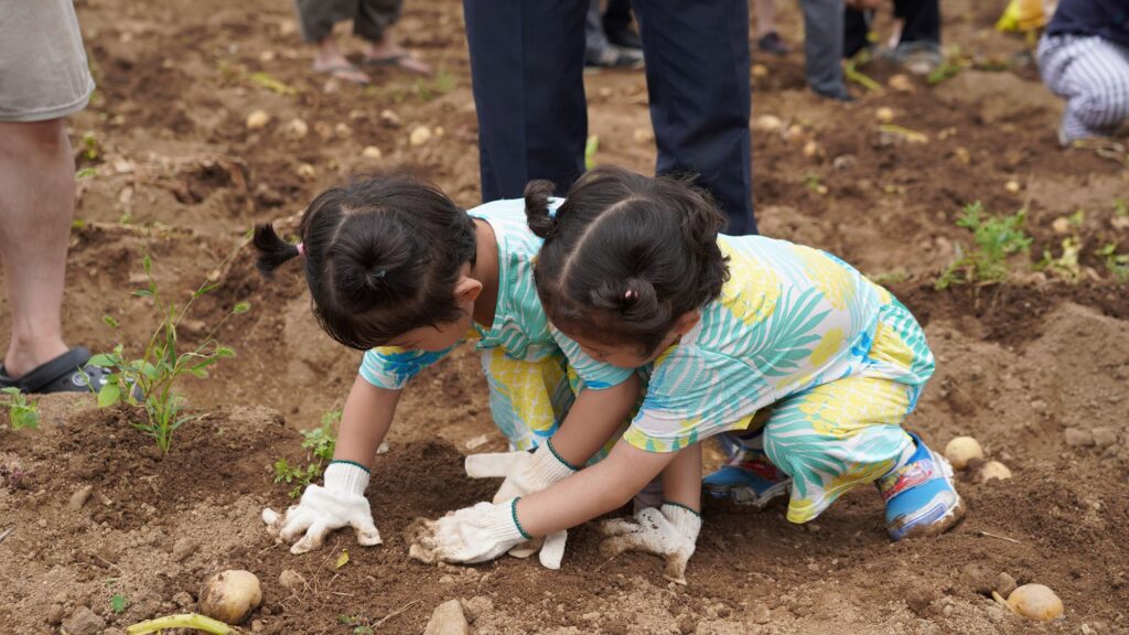 < 22일부터 23일까지, 팔봉산 어울림마당 일원에서 열린 '제23회 팔봉산 감자축제' (제공: 서산시) >