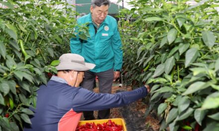 서해환경신문· 가세로 태안군수, ‘농촌지도 시범 사업’ 현장 점검 나서!