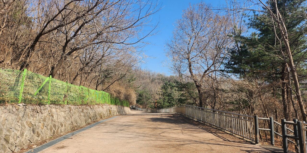 서해환경신문·종로구, 서울 도심에 친환경 산책길 만든다! “맨발걷기 통해, 활력 얻으세요”