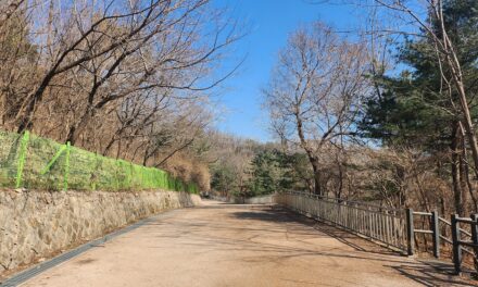 서해환경신문·종로구, 서울 도심에 친환경 산책길 만든다! “맨발걷기 통해, 활력 얻으세요”