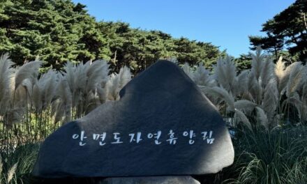 서해환경신문·충청남도 산림자원연구소, “안면도 자연휴양림에서 가을 맞으세요”