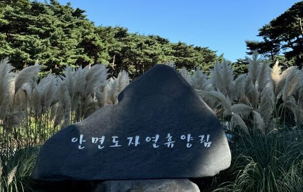 서해환경신문·충청남도 산림자원연구소, “안면도 자연휴양림에서 가을 맞으세요”