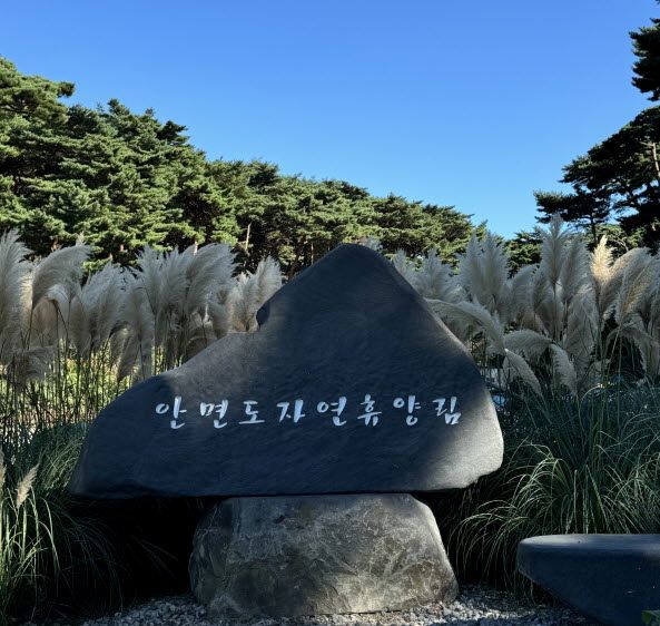 서해환경신문·충청남도 산림자원연구소, “안면도 자연휴양림에서 가을 맞으세요”