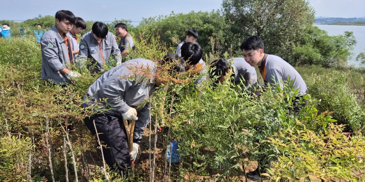 서해환경신문·”맛나게 냠냠하렴.”  당진시, 삽교호 야생동물 먹이활동 위해 나무식재