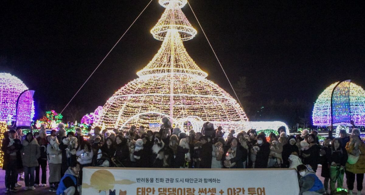 서해환경신문·”댕댕이와 바다보며 특별한 추억쌓기!” 인기폭발 태안 반려동물 투어! 추가모집!