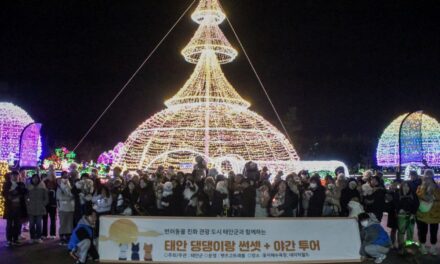 서해환경신문·”댕댕이와 바다보며 특별한 추억쌓기!” 인기폭발 태안 반려동물 투어! 추가모집!